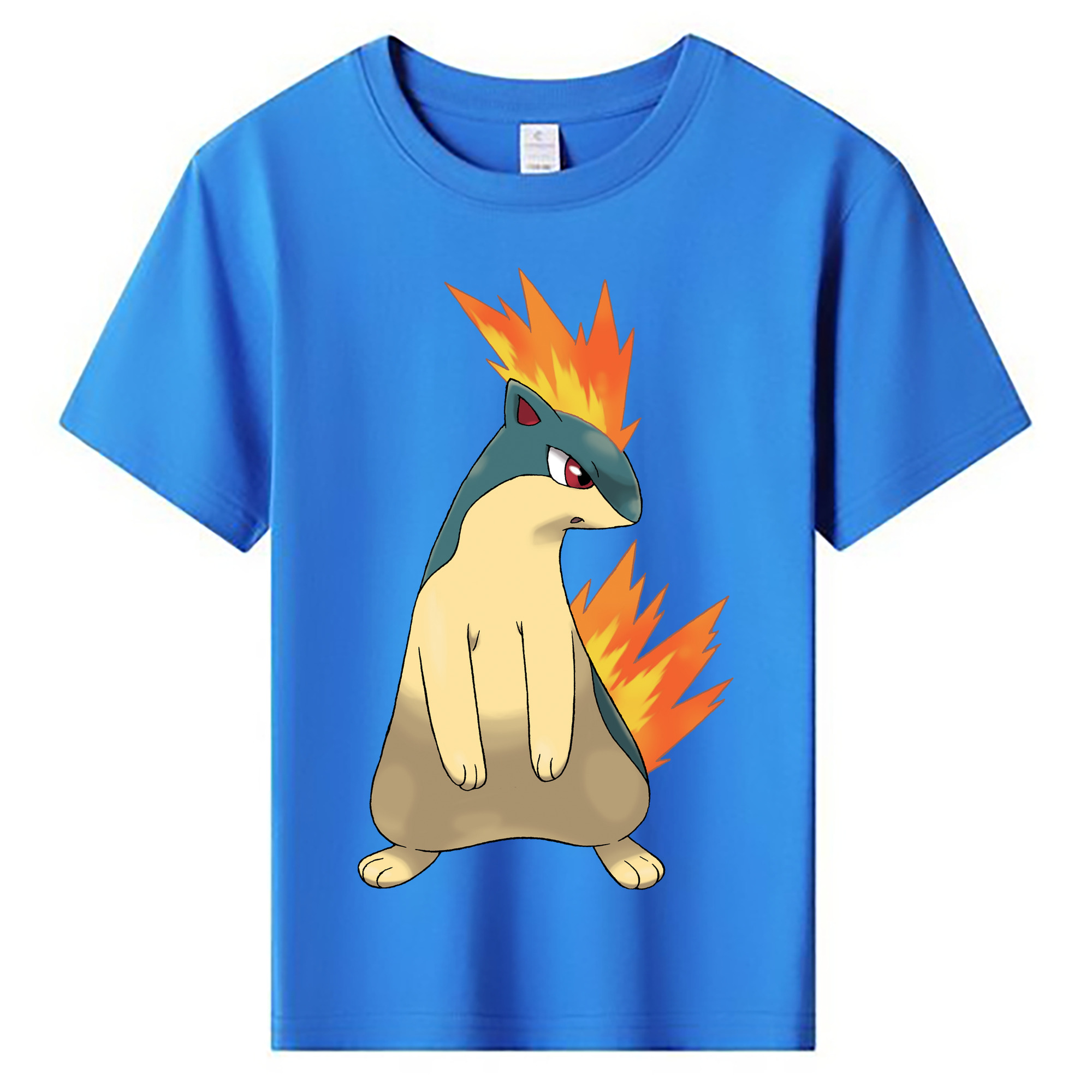 （画像用） ポケットモンスター Pokémon 綿100％キッズTシャツ（フロントプリント）